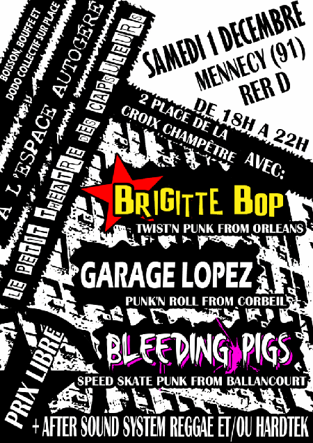 Concert Punk au Petit Théâtre des Capsuleurs avec Brigitte Bop, Garage Lopez et Bleeding Pigs