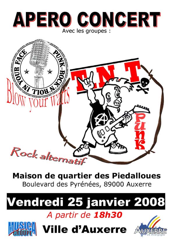 Concert Punk aux Piedalloues le 25 janvier 2008 à Auxerre (89)