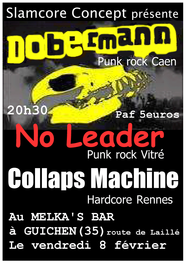 Concert Punk Rock au Melka's Bar le 08 février 2008 à Guichen (35)