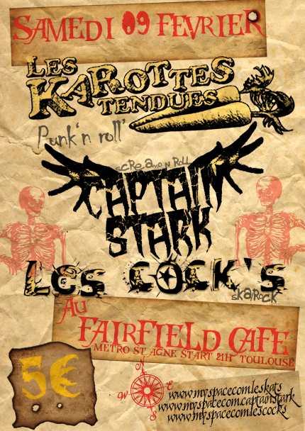 Concert Punk n' Roll au Fairfield Café le 09 février 2008 à Toulouse (31)
