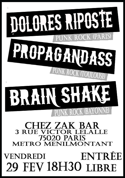 Concert Punk au Zak Bar le 29 février 2008 à Paris (75)