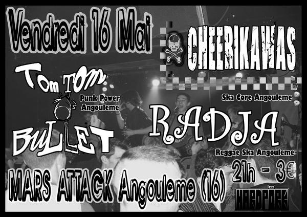 Concert Punk Ska Reggae au Mars Attack le 16 mai 2008 à Angoulême (16)