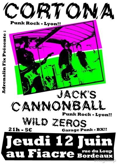 Concert Punk Rock au Fiacre le 12 juin 2008 à Bordeaux (33)