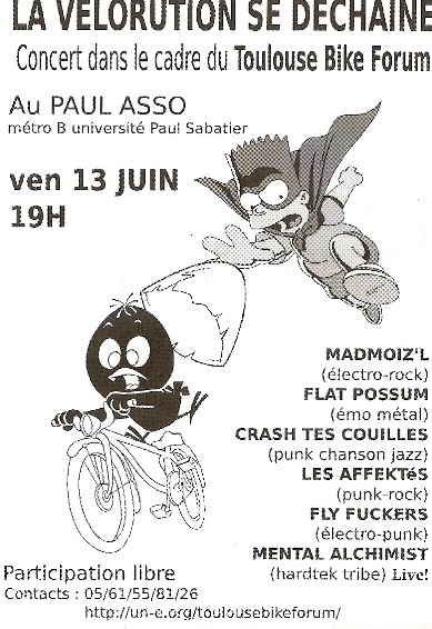 La Vélorution se déchaîne le 13 juin 2008 à Toulouse (31)