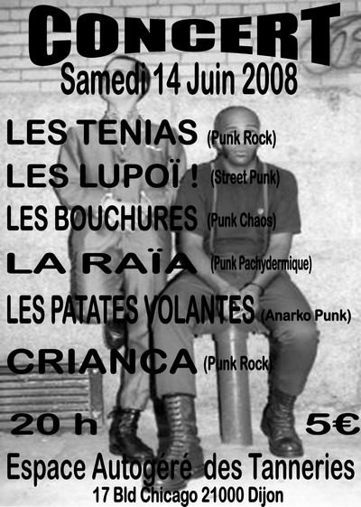 Concert aux Tanneries le 14 juin 2008 à Dijon (21)