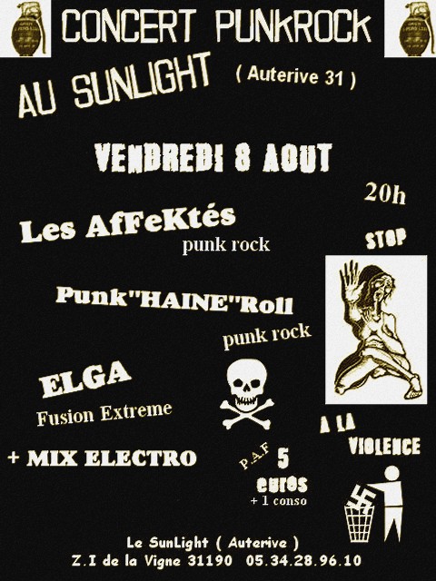 Concert Punkrock au Sunlight le 08 août 2008 à Auterive (31)