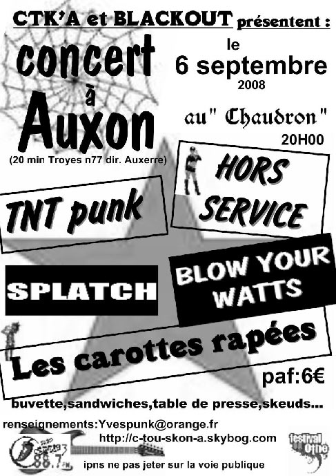 Concert Punk au Chaudron le 06 septembre 2008 à Auxon (10)