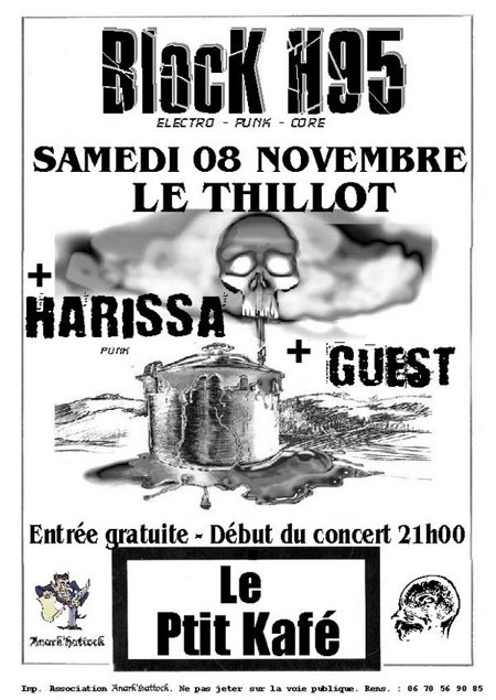 Concert Punk au Ptit Kafé le 08 novembre 2008 à Le Thillot (88)