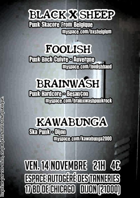 Concert Punk Ska HxC aux Tanneries le 14 novembre 2008 à Dijon (21)