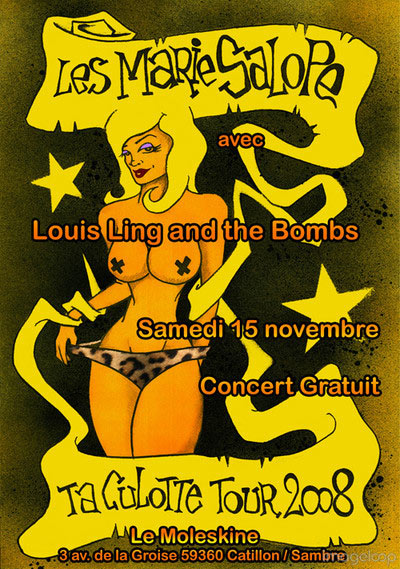 Concert Punk au Moleskine le 15 novembre 2008 à Catillon-sur-Sambre (59)