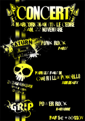 Concert Punk Rock au Cèdre le 22 novembre 2008 à Marcorignan (11)