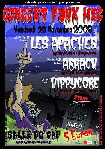Concert Punk HxC à la Salle du Cap le 28 novembre 2008 à Toulouse (31)