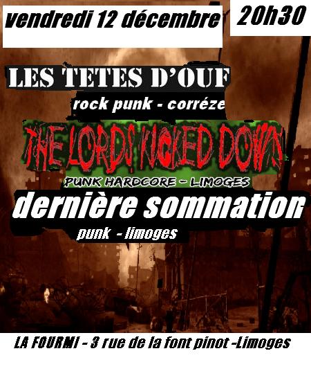 Concert Punk à la Fourmi le 12 décembre 2008 à Limoges (87)