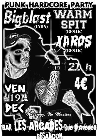 Punk Hardcore Party aux Arcades le 19 décembre 2008 à Besançon (25)