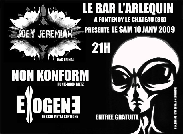 Concert Punk Hxc Metal au bar l'Arlequin le 10 janvier 2009 à Fontenoy-le-Château (88)