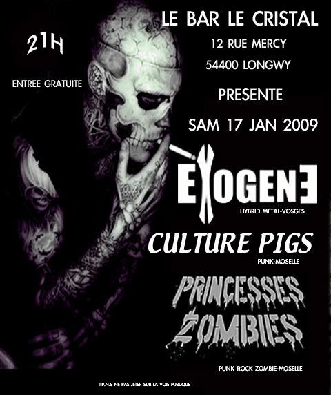 Concert Punk Metal au bar Le Cristal le 17 janvier 2009 à Longwy (54)