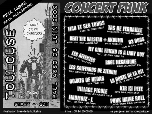 Concert Punk au Paul Asso le 05 juin 2009 à Toulouse (31)