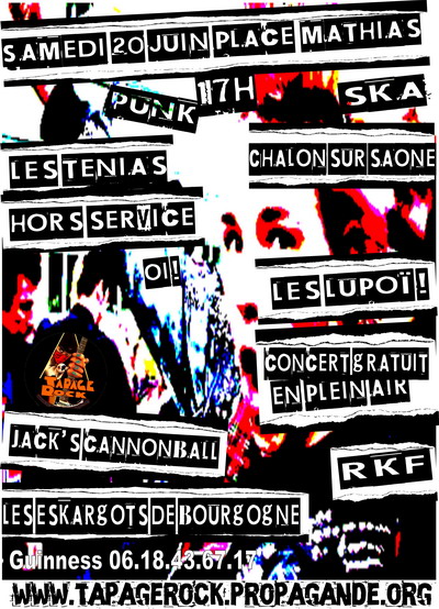 Concert Punk Ska le 20 juin 2009 à Chalon-sur-Saône (71)