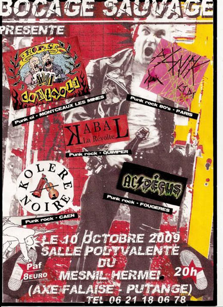 Concert Punk Rock le 10 octobre 2009 à Ménil-Hermei (61)