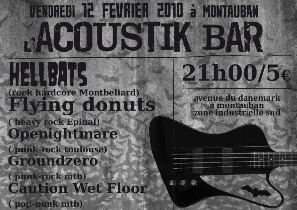 Concert Punk Rock à l'Acoustic Pub le 12 février 2010 à Montauban (82)