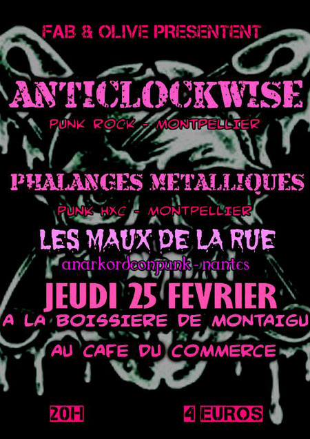 Concert Anarko Punk Rock au Café du Commerce le 25 février 2010 à La Boissiere-de-Montaigu (85)