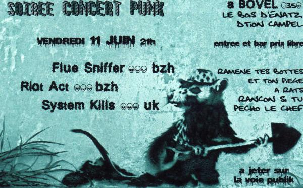 Concert System Kills + Flue Sniffer + Riot Act le 11 juin 2010 à Bovel (35)