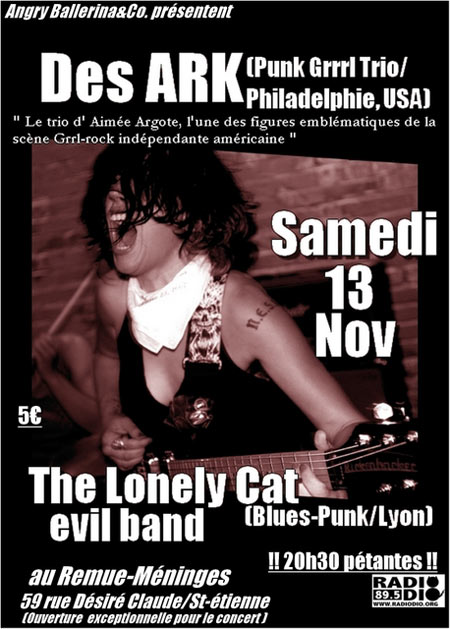 Des Ark + The Lonely Cat Evil Band au Remue-Méninges le 13 novembre 2010 à Saint-Etienne (42)