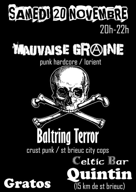 Mauvaise Graine + Baltring Terror au Celtic Bar le 20 novembre 2010 à Quintin (22)