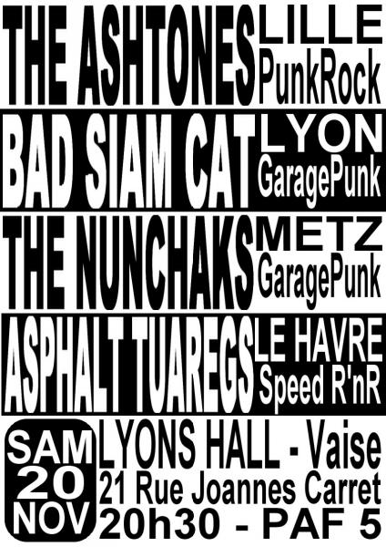 Concert Garage Punk Rock au Lyon's Hall le 20 novembre 2010 à Lyon (69)