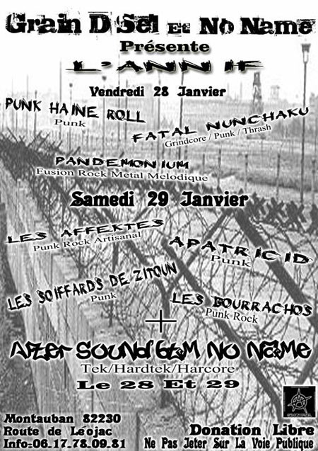 Punk Haine Roll + Fatal Nunchaku + Pandemonium le 28 janvier 2011 à Montauban (82)
