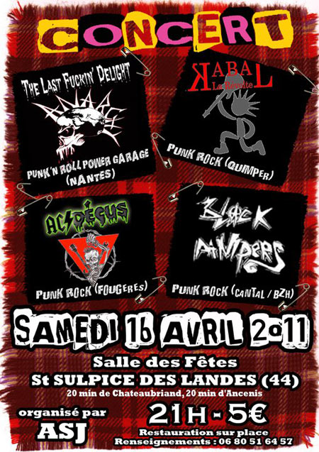 Concert Punk à la Salle des Fêtes le 16 avril 2011 à Saint-Sulpice-des-Landes (44)
