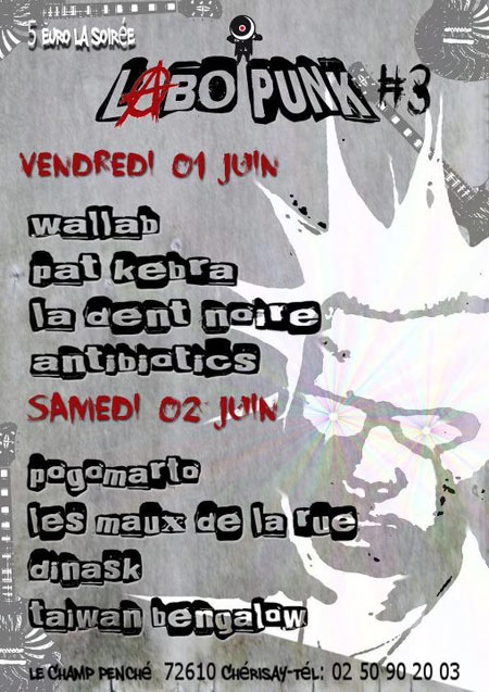 Labo Punk #3 le 01 juin 2012 à Chérisay (72)