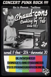 Black Sheep + 70's PM + Damages & Paranoia au bar La Chesnaie le 11 août 2012 à Treillières (44)