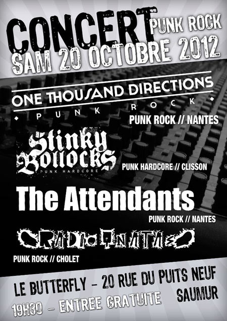 Concert Punk Rock au Butterfly le 20 octobre 2012 à Saumur (49)
