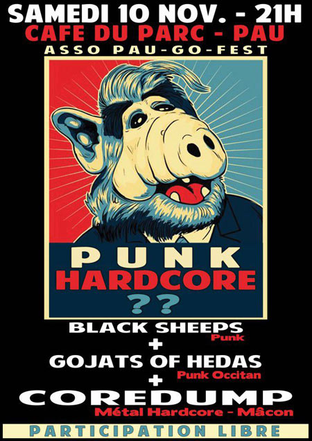 Black Sheeps + Gojats Of Hédas + Coredump au Café du Parc le 10 novembre 2012 à Pau (64)