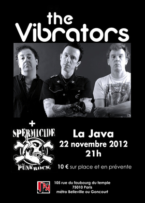 The Vibrators + Spermicide à la Java le 22 novembre 2012 à Paris (75)