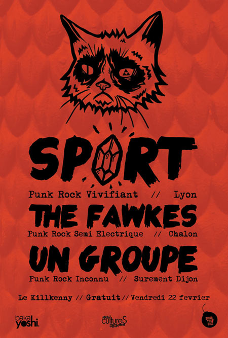 Sport + The Fawkes au Kilkenny le 22 février 2013 à Dijon (21)