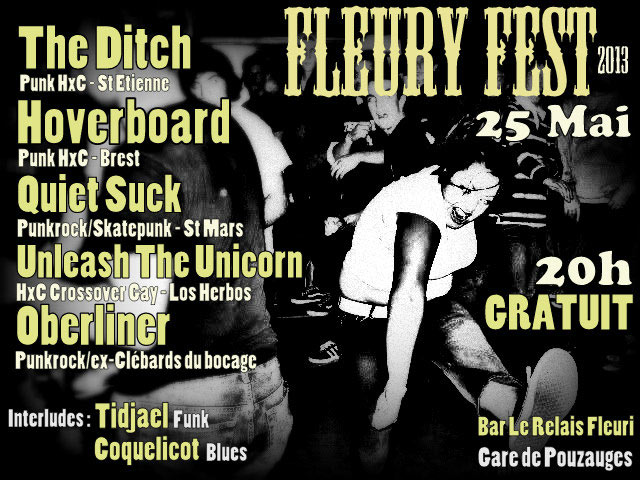 Fleuryfest 2013 le 25 mai 2013 à La Meilleraie-Tillay (85)
