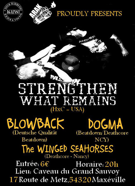 Strengthen What Remains + Blowback + Dogma + TWS à la MJC le 16 novembre 2013 à Laneuveville-devant-Nancy (54)