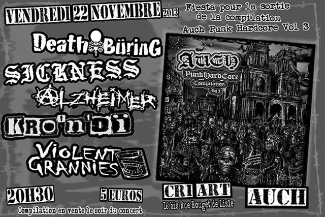 Concert Punk Hardcore au Cri'Art le 22 novembre 2013 à Auch (32)