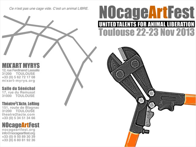 No Cage Art Fest le 23 novembre 2013 à Toulouse (31)