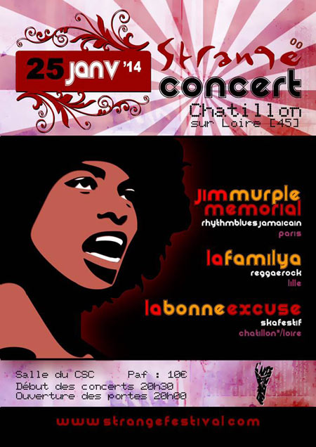 Concert JIM MURPLE MEMORIAL + LA FAMILYA + LA BONNE EXCUSE le 25 janvier 2014 à Châtillon-sur-Loire (45)
