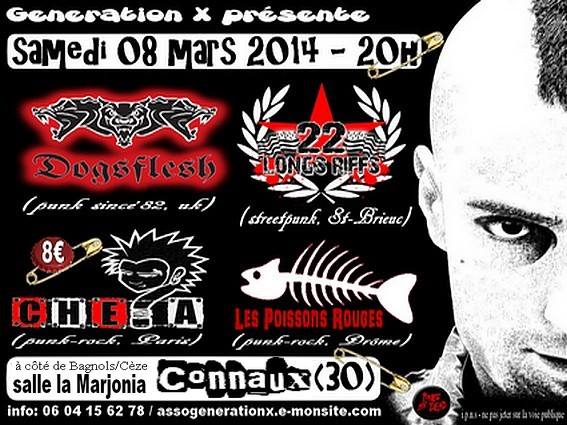 Concert Punk à la salle Marjonia le 08 mars 2014 à Connaux (30)