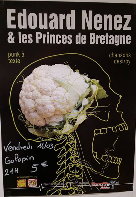 Concert Edouard Nenez et les Princes de Bretagne le 14 mars 2014 à Guingamp (22)