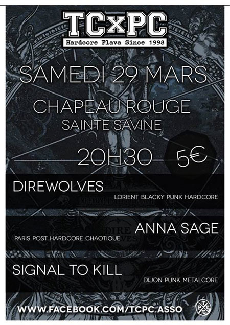 Direwolves + Anna Sage + Signal To Kill au Chapeau Rouge le 29 mars 2014 à Sainte-Savine (10)
