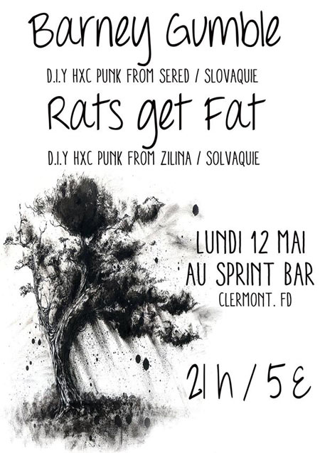 Barney Gumble + Rats Get Fat au Sprint Bar le 12 mai 2014 à Clermont-Ferrand (63)