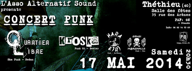 Concert Punk à la Salle des Fêtes le 17 mai 2014 à Téthieu (40)