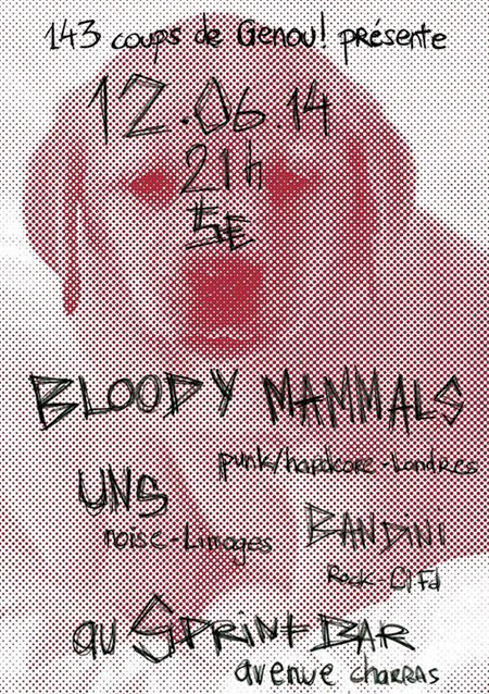 Bloody Mammals + Uns + Bandini au Sprint Bar le 12 juin 2014 à Clermont-Ferrand (63)