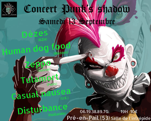 Concert Punk's Shadow à la salle L'Intrépide le 13 septembre 2014 à Pré-en-Pail (53)