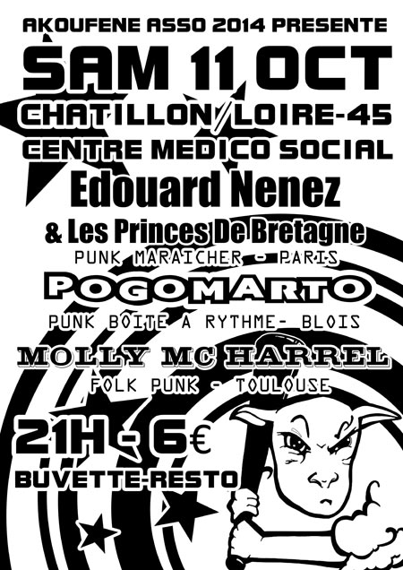Concert Punk : Édouard Nenez - Pogomarto - Molly McHarrel le 11 octobre 2014 à Châtillon-sur-Loire (45)